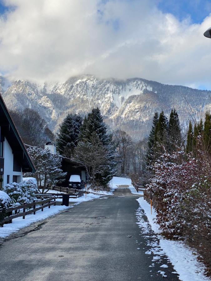 Charmantes Garten-Apartment: Erholung Im Chiemgau 운테르보센 외부 사진